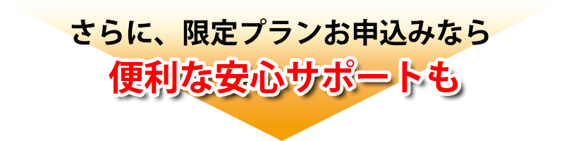 速トクでんき